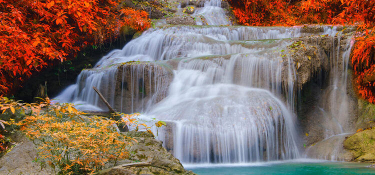 Upadesa Saram - Esencia de Enseñanzas - 25 a 27