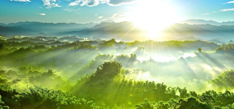 Talks with Ramana Maharshi (44 - 46)