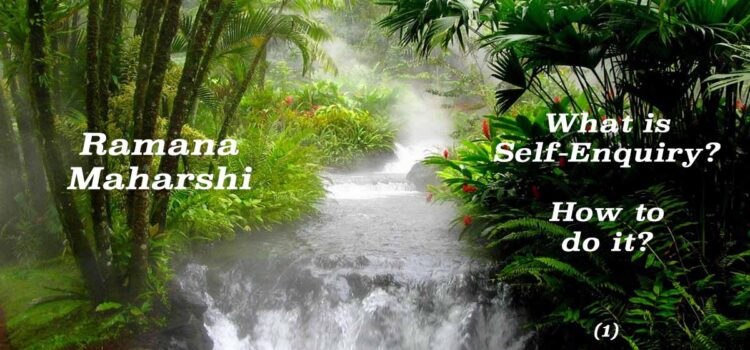 What is Self-Enquiry (1)