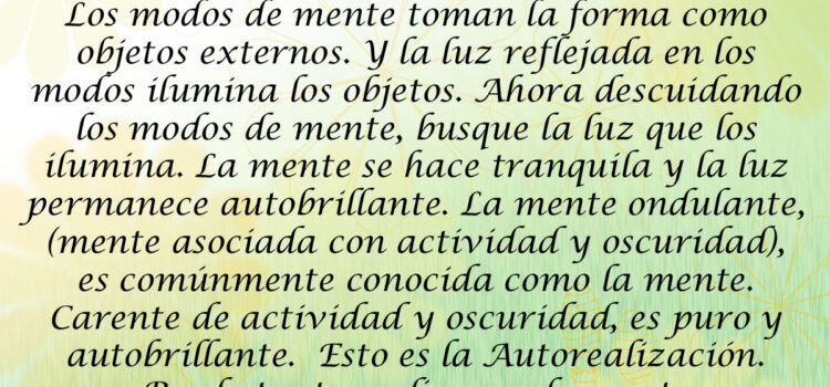 Cita de Ramana 17