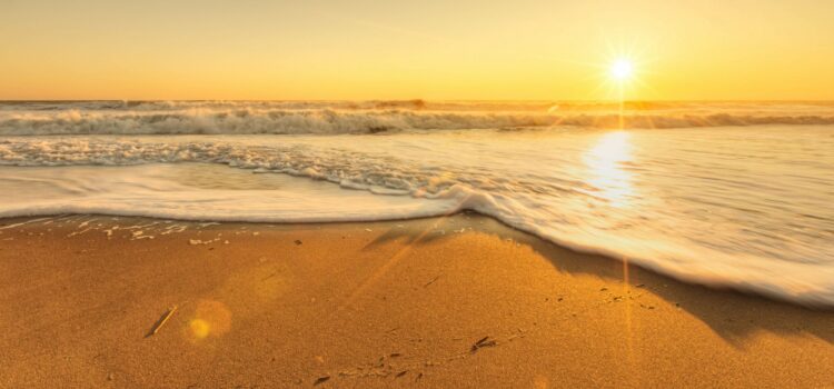 Can one be Conscious without thinking Can one be Conscious without thinking