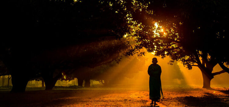 Wandering Monk