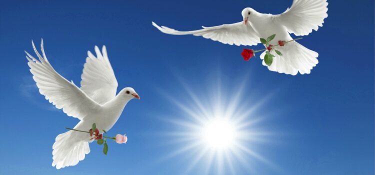 God is guiding us