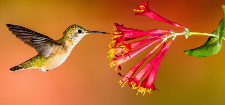 Grace is always there Grace is always there