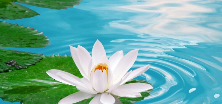 If one abuses, remedy is to keep quiet If one abuses, remedy is to keep quiet