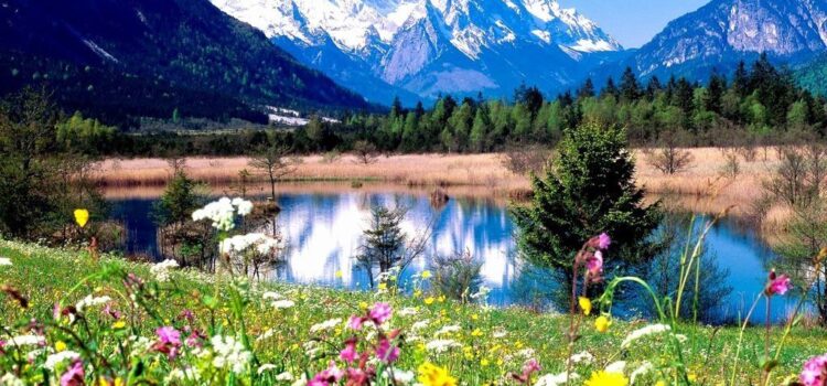 Wonderful Guidance with Ramana Wonderful Guidance with Ramana