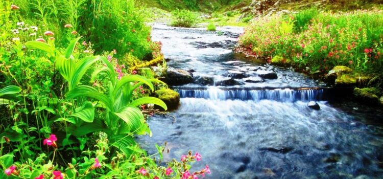 Paul Brunton's Second Visit to Sri Ramana Maharshi