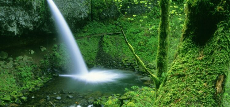 Methods for Quietening the Mind