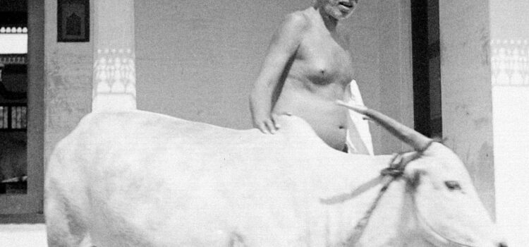 Ramana Maharshi and Cow Lakshmi - Video