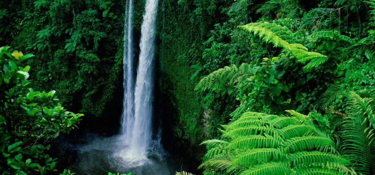 Self is Bliss; Happiness is Within