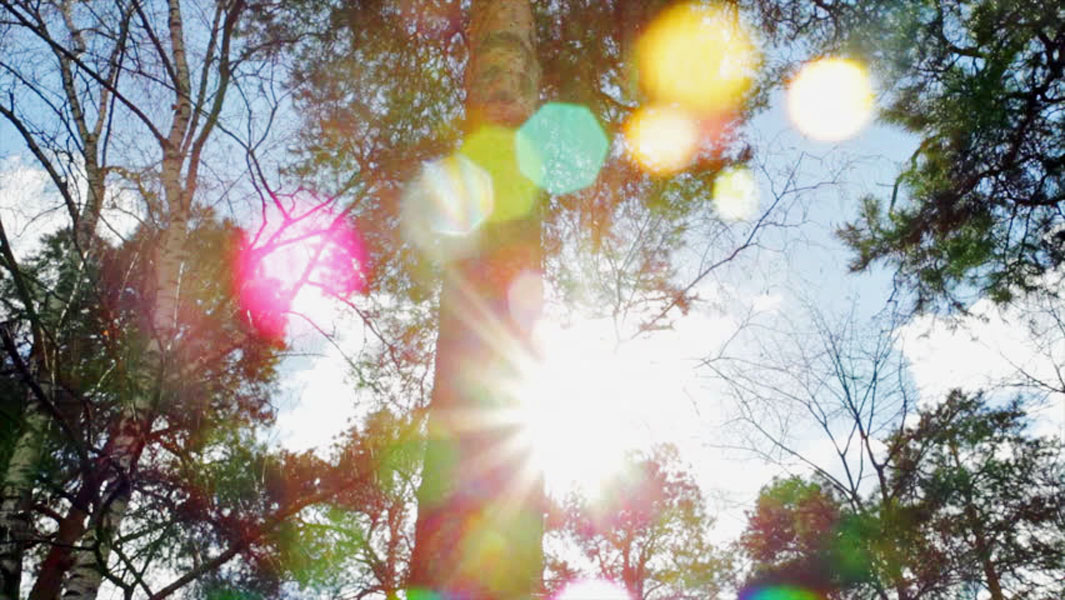 Talks with Ramana Maharshi (14 - 15)