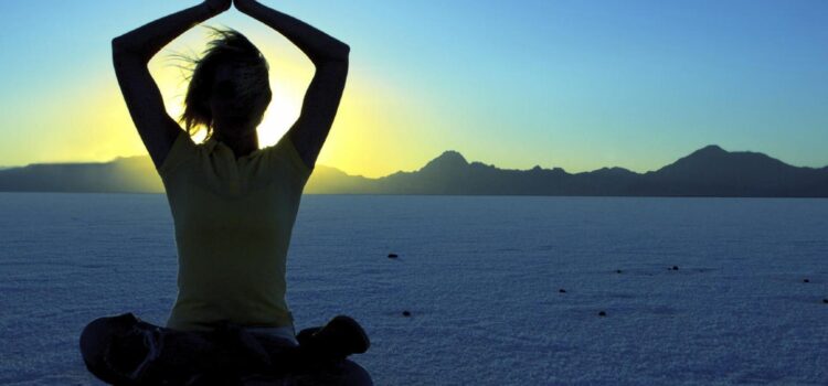 Talks with Ramana Maharshi (27)