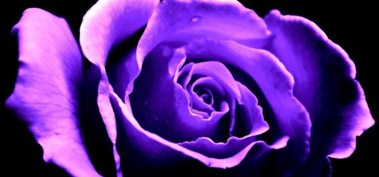 The Charm of Self-Realization