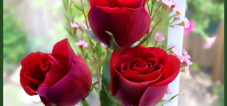 Tripura Rahasya – Chapter 1 Tripura Rahasya – Chapter 1