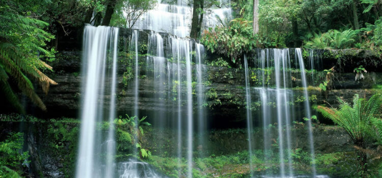 Upadesa Saram – Esencia de Enseñanzas – 4 a 6 Upadesa Saram - Esencia de Enseñanzas - 4 a 6