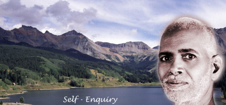 What is Self-Enquiry? How to do it? (5)